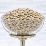 Sunflower Seed